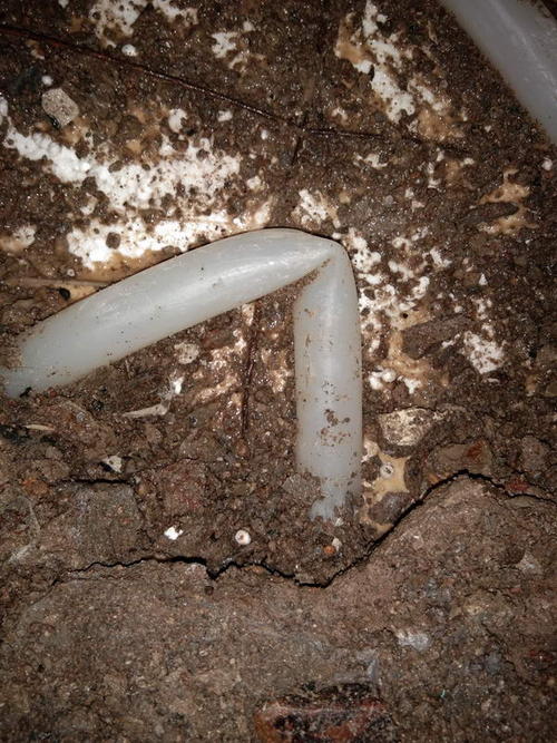 余干堵点精准查找